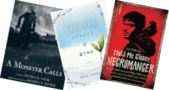 ALA Best Fiction For Young Adults